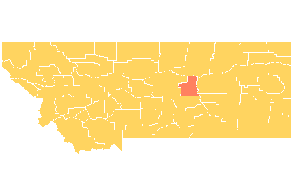 Petroleum County