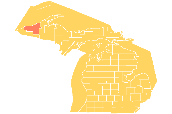 Ontonagon County