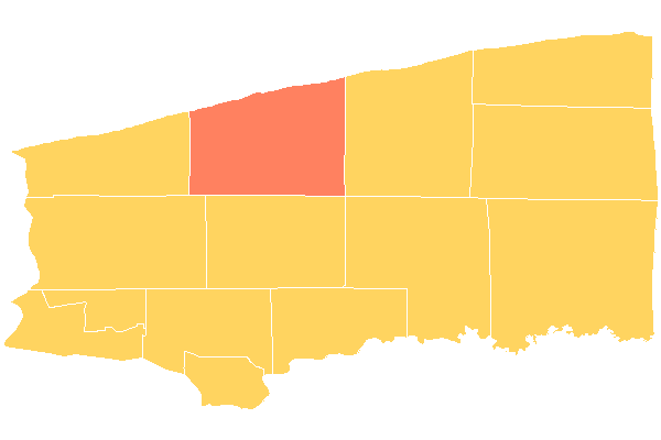 Wilson Town